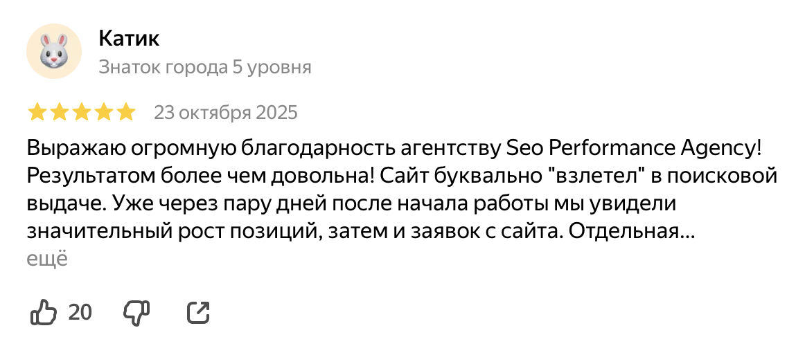 Отзыв Катика